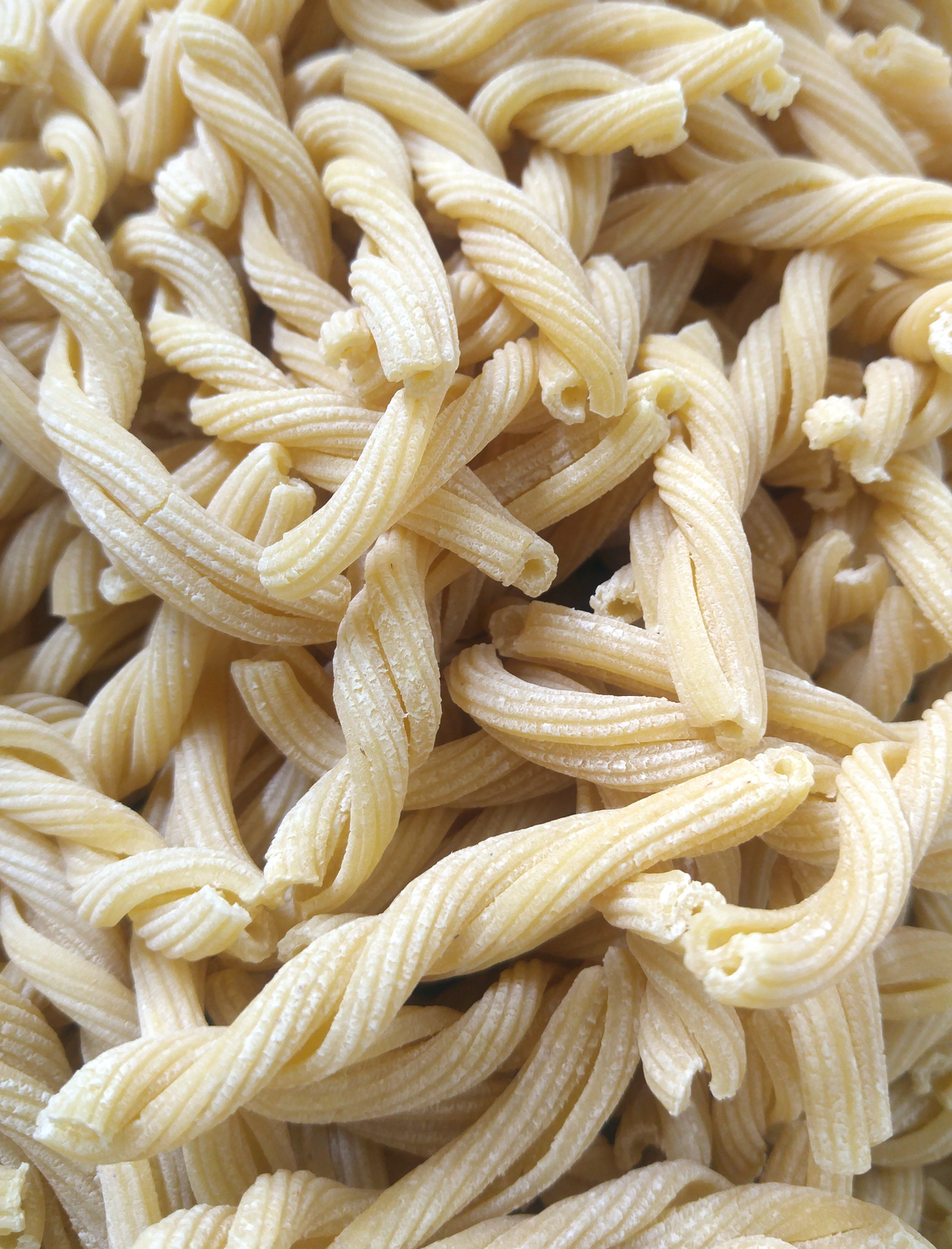 Gemelli image 1