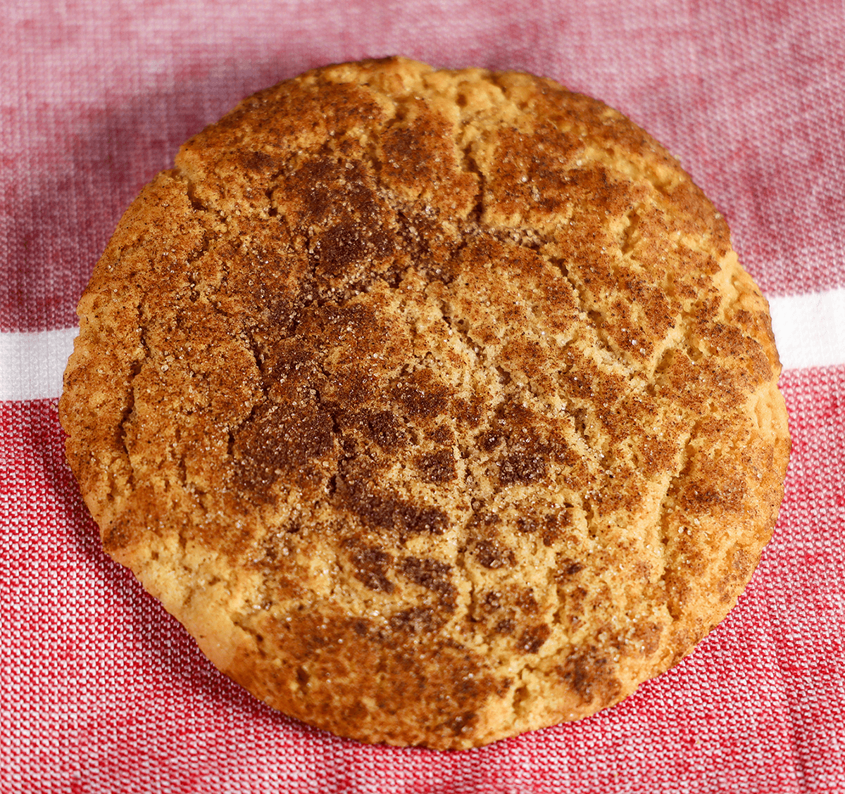 Snickerdoodle Cookie image 0