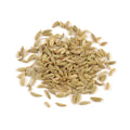 Fennel (whole) image 0