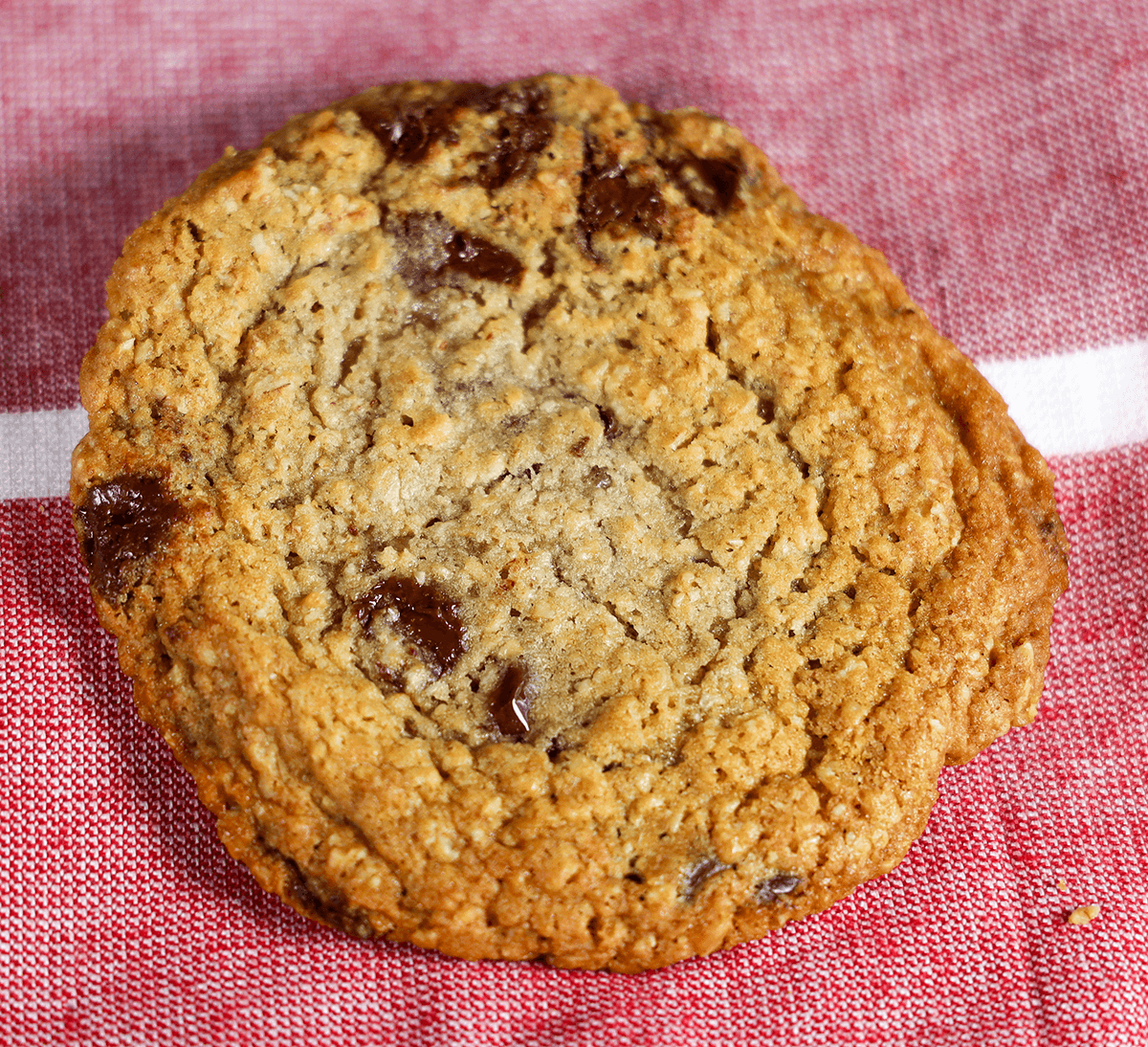Chocolate Chip Cookie image 0