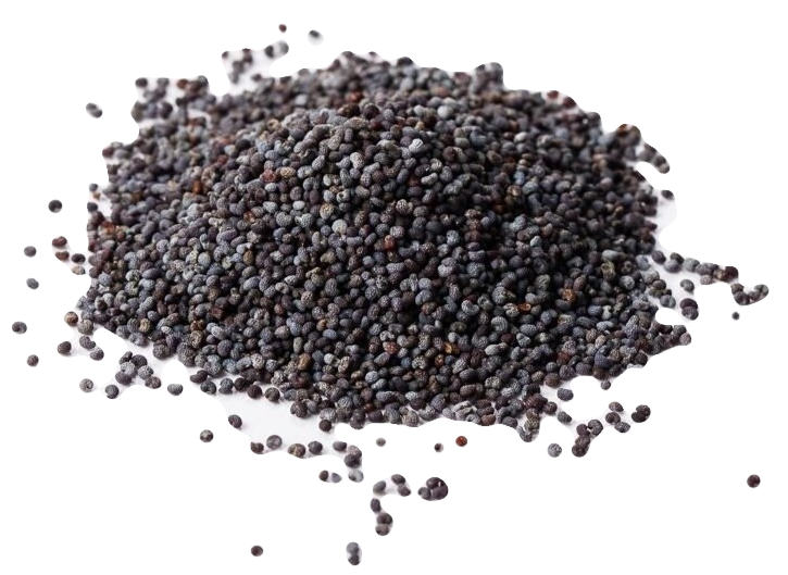 Poppy Seeds image 0
